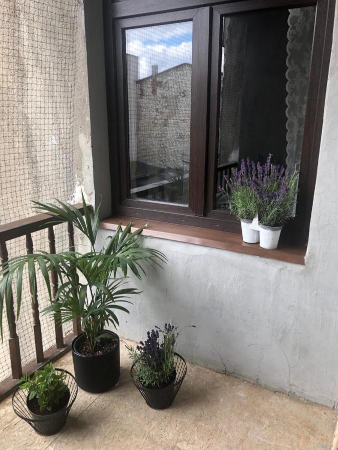 Kamieniczka 12 Apartamenty Częstochowa Eksteriør billede